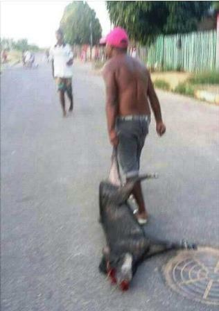 conteudo de folhabv.com.br