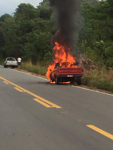 Veículo pegou fogo na BR-174 (Foto: Divulgação)