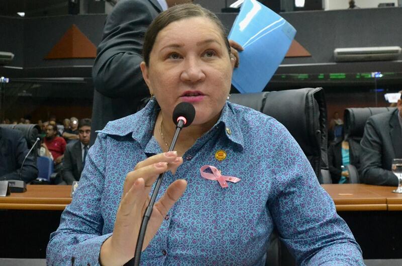 O projeto é de autoria da deputada Lenir Rodrigues (Foto: SupCom ALE-RR)