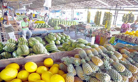 Com a forte estiagem, produtores enfrentam dificuldades para abastecer o mercado (Foto: Antonio Diniz)
