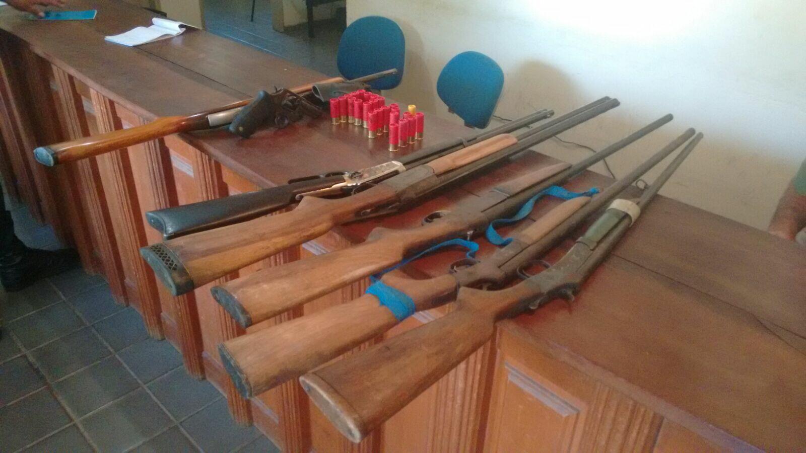 Armas recuperadas (Foto: Divulgação)