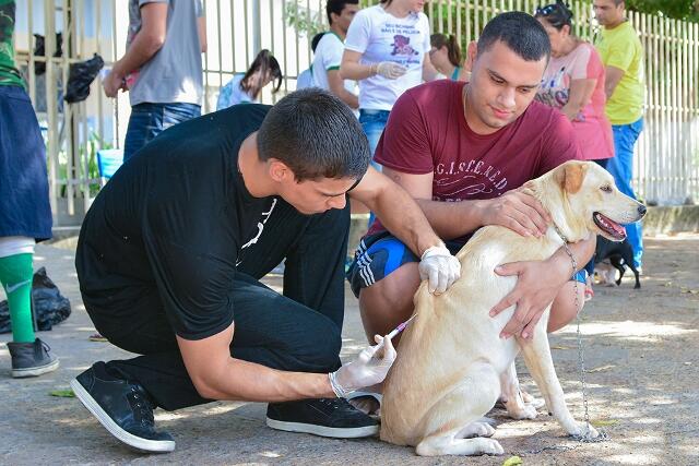 Campanha será realizada em quatro bairros da Capital (Foto: Divulgação PMBV)