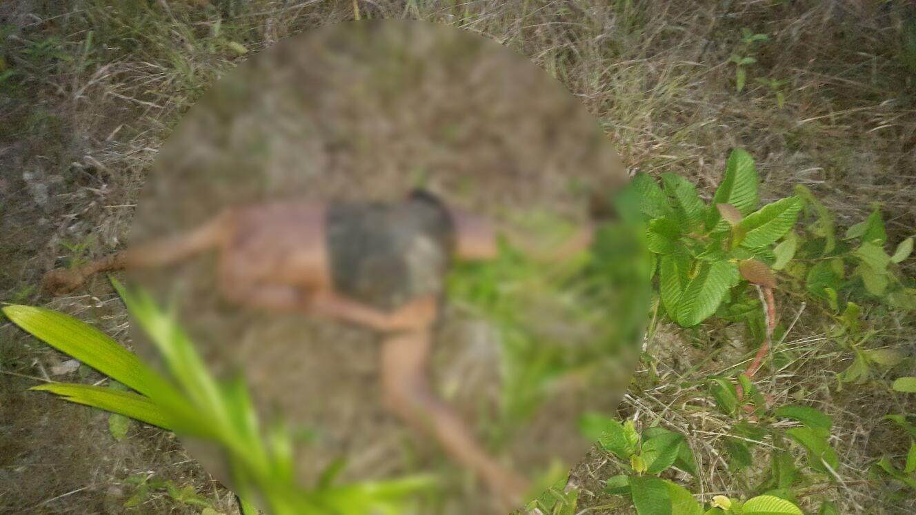 Corpo da vítima, identificado como Edilson, de 51 anos, foi deixado em um matagal, sem cabeça, após ser arrastado por oito quilômetros (Foto: Divulgação)