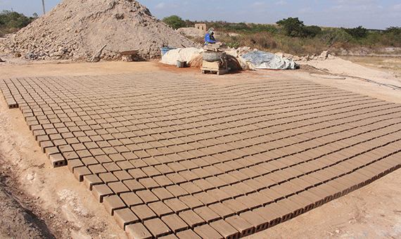 Produção e venda de tijolos em Boa Vista vêm caindo nos últimos meses (Foto: Rodrigo Sales)