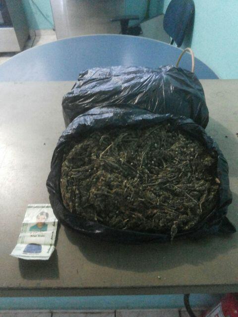 Droga apreendida (Foto: Divulgação)