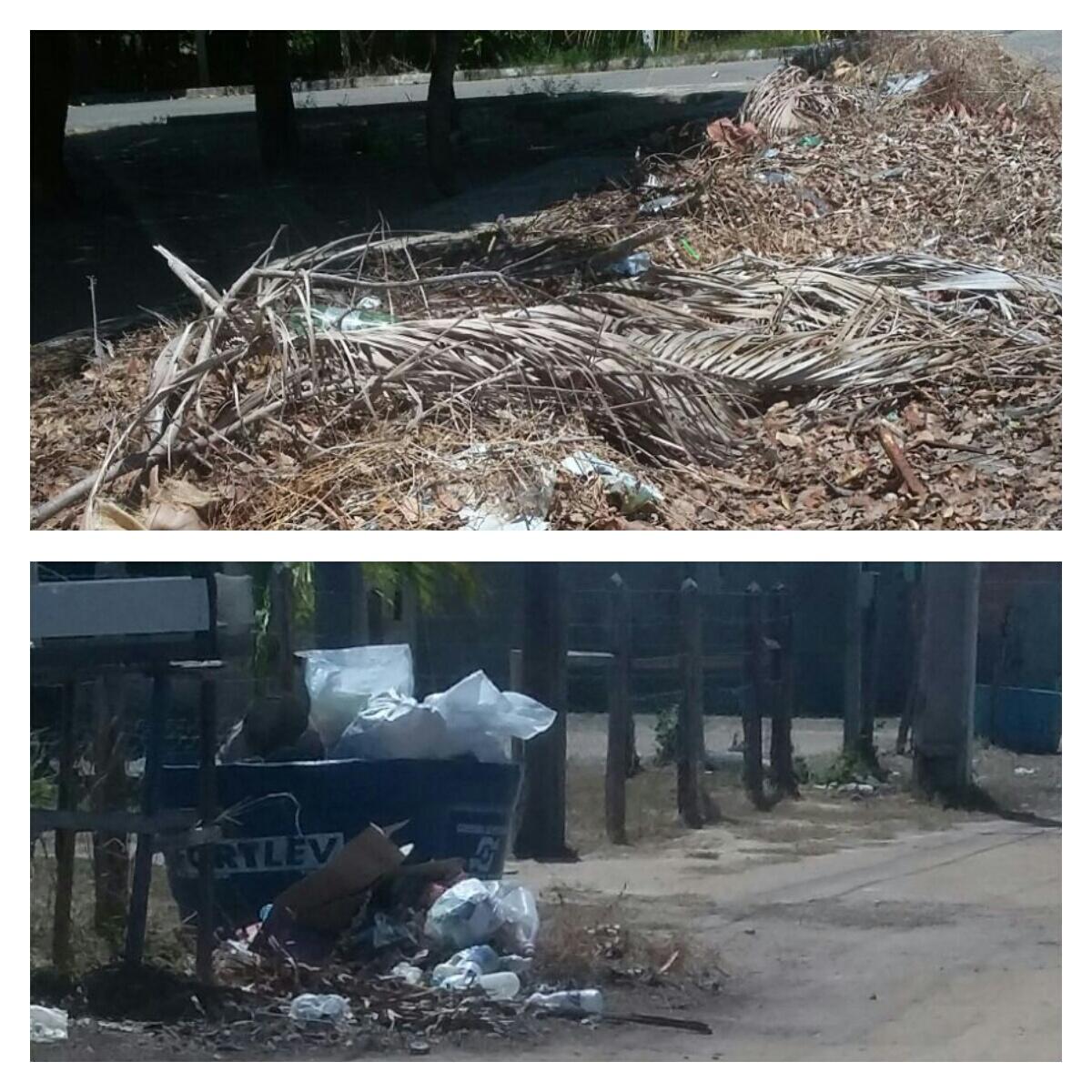 As imagens foram feitas na manhã de hoje por uma moradora do município (Fonte:Arquivo pessoal)