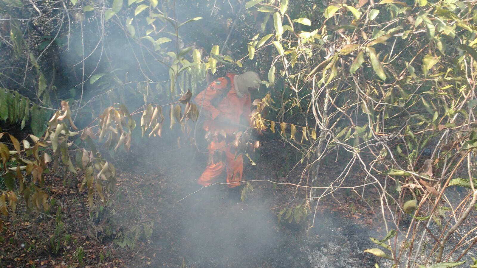 (Foto: Secom-RR)