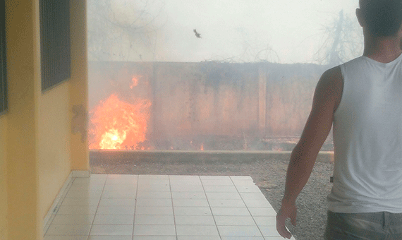 Fogo avançou sobre área de matagal ao redor do prédio da UERR (Foto: Divulgação)