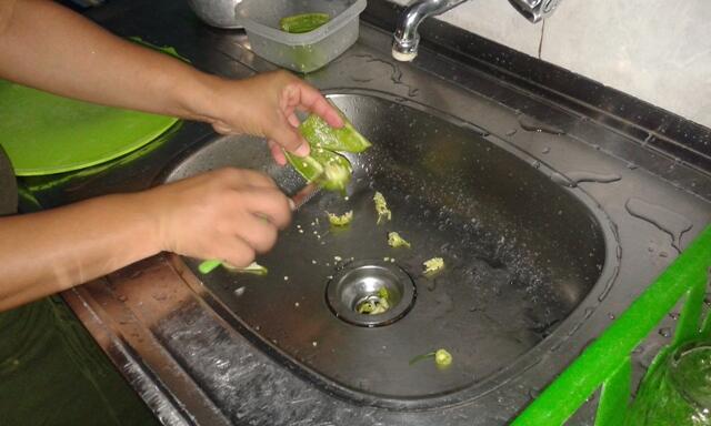 Até pequenos pedaços de alimentos podem causar transtorno, diz a Caer (Foto: Divulgação Secom)