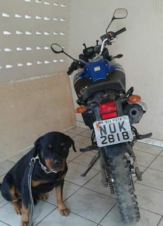(Foto: Divulgação)