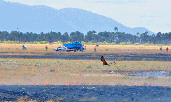 Invasores afirmam que pagaram taxa de R$ 200,00 para ocuparem um pedaço de terra (Foto: Rodrigo Sales)