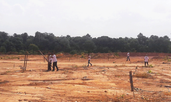 Funcionários da imobiliária recolheram o início das construções de casas de invasores (Foto: Samara Cordeiro)