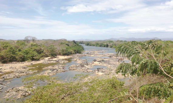 No interior do Estado, nível dos rios e igarapés prejudica abastecimento de água potável (Foto: Jessé Souza)