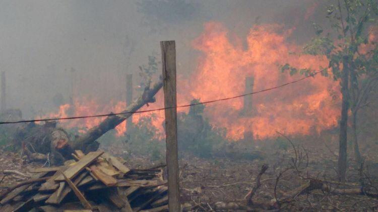 O início da operação foi no dia 18 deste mês (Foto: Divulgação)