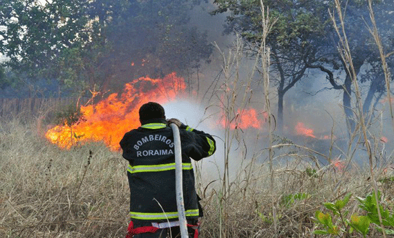 Defesa Civil Nacional envia hoje 60 militares para o fortalecimento das ações (Foto: Rodrigo Sales)