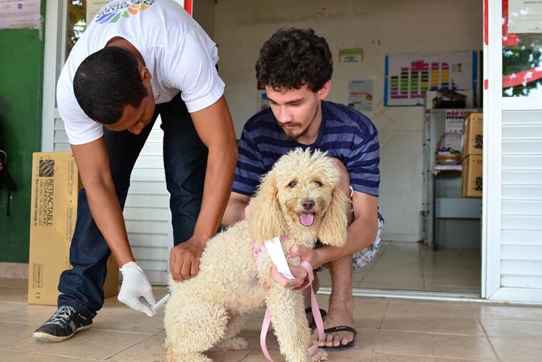vacinação ocorreu em 14 pontos distintos de Boa Vista (Foto: PMBV)