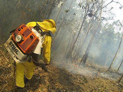 Roraima precisa de mais efetivo para combater fogo, mas Governo Federal nega ajuda e repasse de recurso (Foto: Divulgação)