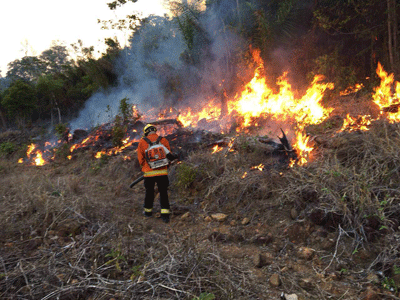 Chuvas conseguiram controlar os incêndios que ocorriam no interior do Estado (Foto: Divulgação)