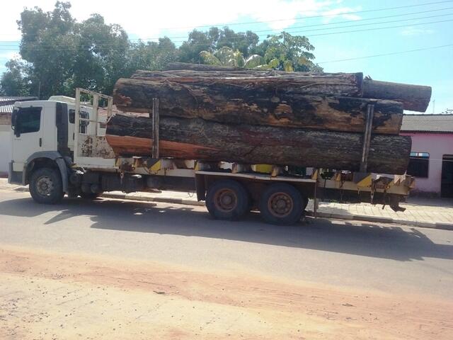 A carga estava sendo transportada sem o Documento de Origem Florestal (Fotos: Jefter Reis)