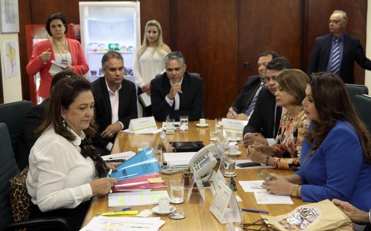 A medida foi definida em reunião, na quarta-feira em Brasília (Foto: Antônio Araújo)