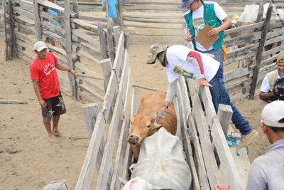 Etapa da campanha segue até dia 30 de abril, com a possibilidade de prorrogação até o dia 30 de maio (Foto: Divulgação)