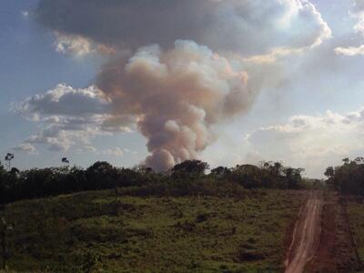 Forte estiagem contribuiu para que incêndios saíssem do controle no Estado (Foto: Divulgação)