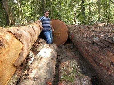 Jovem trabalhava numa empresa do setor madeireiro, que era da família dele (Foto:Divulgação)