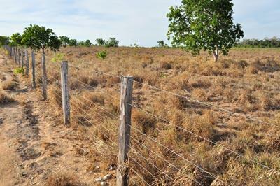 O objetivo da convocação é esclarecer irregularidades relacionadas ao abandono das parcelas e à documentação necessária para regularização e desbloqueio, conforme exigido pelo Programa Nacional de Reforma Agrária (Foto: Arquivo/Folha)