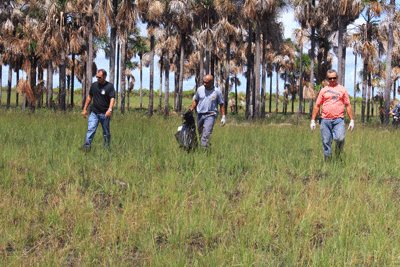 Depois do trabalho dos peritos, servidores do IML recolheram os restos mortais de Flávio Araújo (Foto: Diane Sampaio)