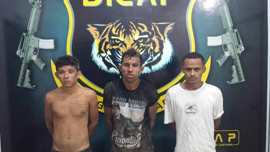 (Foto: Divulgação)