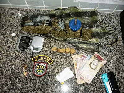 Maconha estava escondida em vários pontos da residência (Foto: Divulgação)