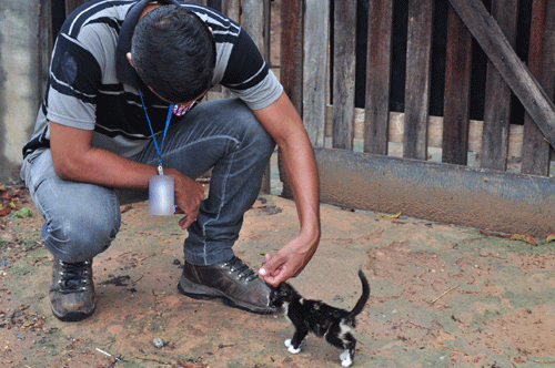 Número de animais abandonados nas ruas da Capital tem aumentado (Foto: Rodrigo Sales)