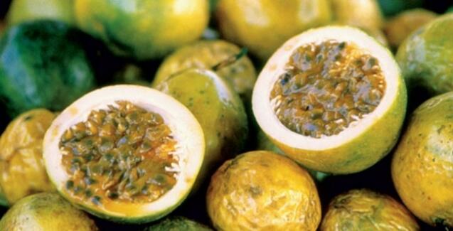 Apesar das condições favoráveis para o cultivo, a produção do Maracujá ainda não é feita em grande escala