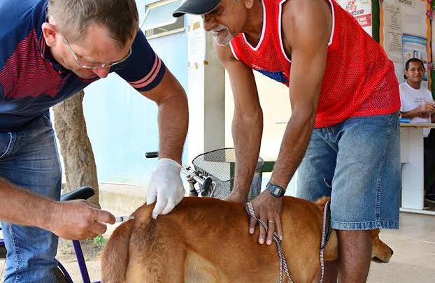 Na primeira campanha, a Prefeitura conseguiu imunizar 56% dos animais de Boa Vista (Foto: Divulgação)