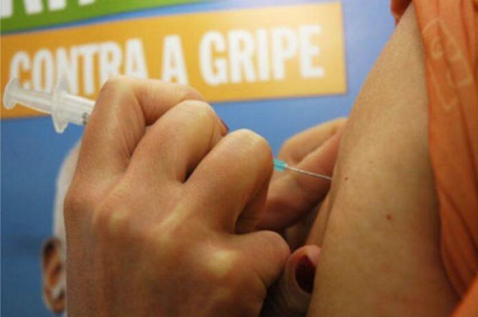 (Foto: Pesquisa por imagem)