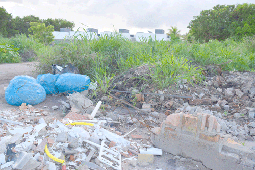 Lixo, entulho e animais mortos estão sendo despejados de forma irregular no terreno (Foto: Rodrigo Sales)