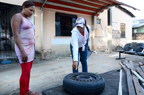 População está sendo orientada a eliminar criadouros do mosquito da dengue (Foto: Divulgação)