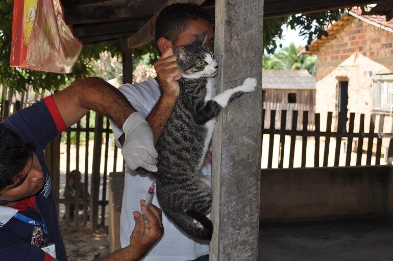 A vacina continua disponível no Centro de Zoonoses (Foto: Samara Cordeiro)