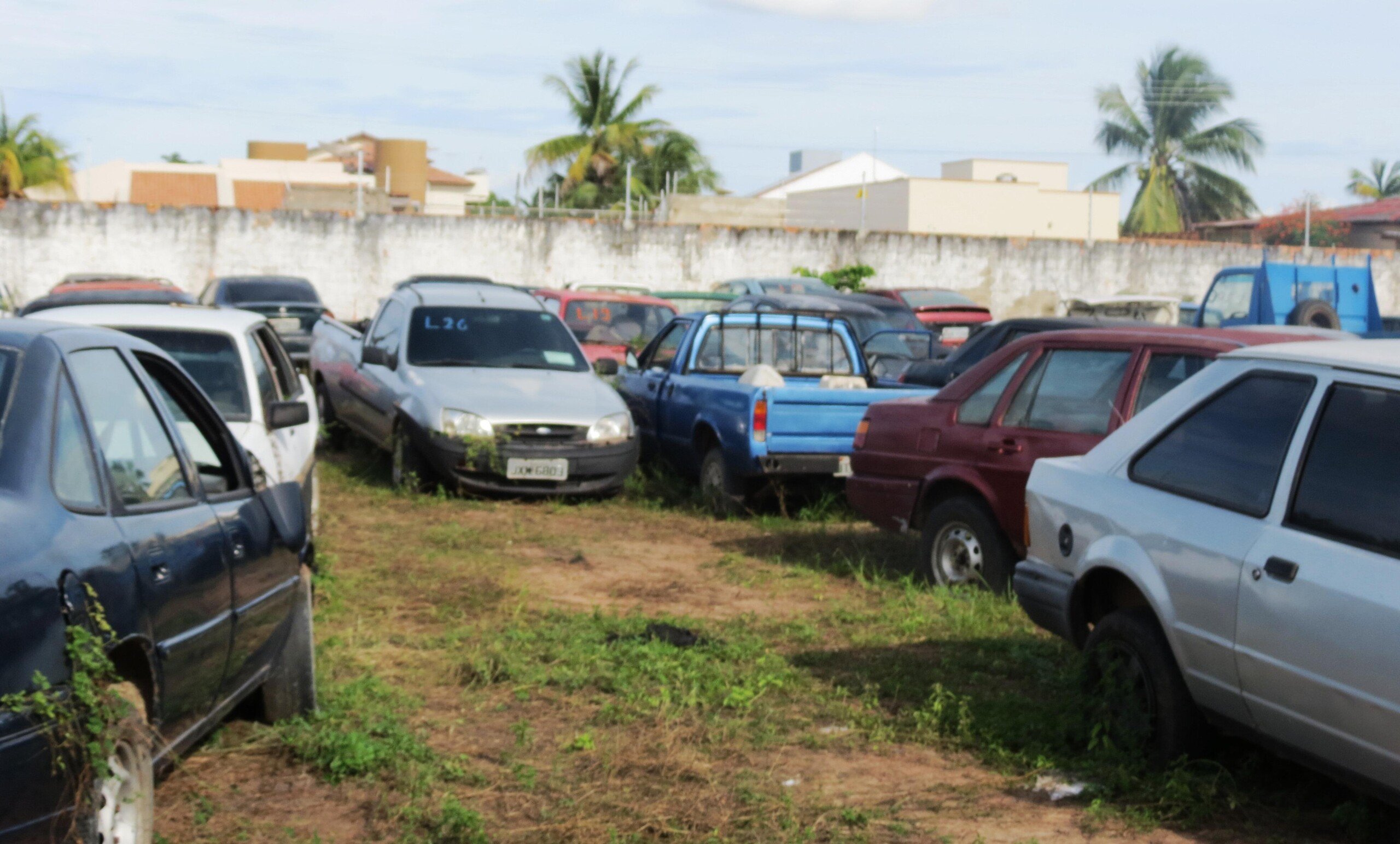 Ao todo, serão 26 lotes disponibilizados para pessoas físicas (Foto: Divulgação)