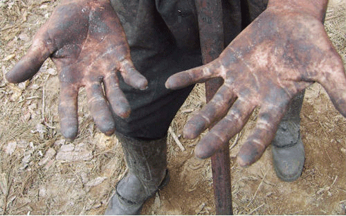 Estrangeiros também são alvos de trabalho escravo ou análogo em Roraima (Foto: Thirza Perim)