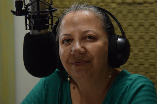 A chefe da Divisão de Informação Econômico-Fiscal da Sefaz, Palmira Leão, informou que mais 30 empresas foram notificadas por irregularidades no repasse da Guia de Informações Mensais (GIM) (Foto: Rodrigo Sales)