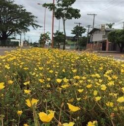 conteudo de folhabv.com.br