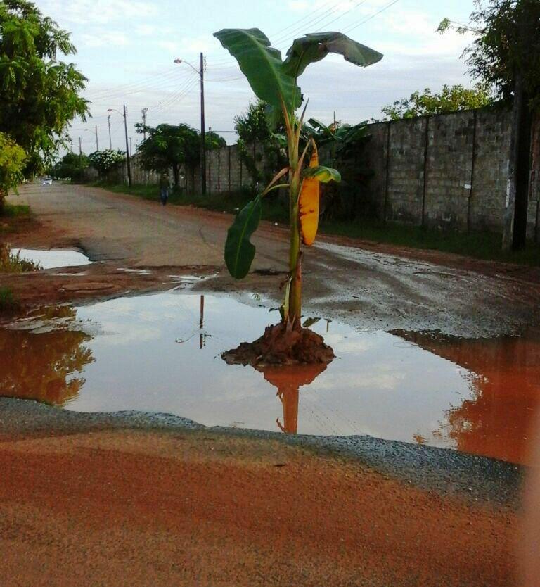 conteudo de folhabv.com.br