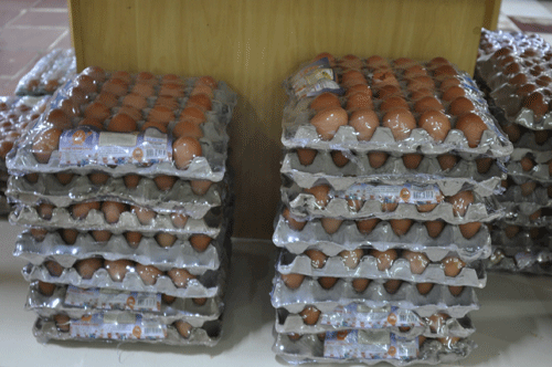 Ovos em prateleira de supermercado devem conter aviso de venda fracionada (Foto: Thirza Perin)