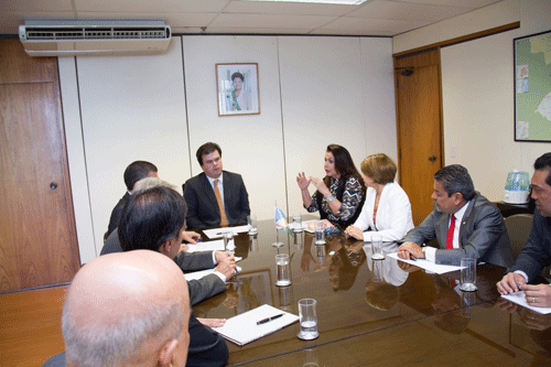 Decisão foi tomada após reunião da governadora Suely Campos com o ministro de Minas e Energia, Fernando Bezerra Filho, na terça-feira, 9, em Brasília (Foto: Divulgação)