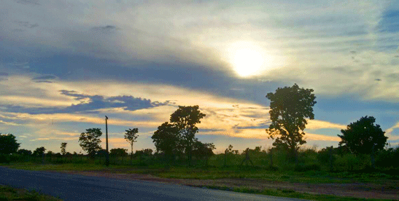 Em razão do final do inverno que se aproxima, a presença de sol e poucas chuvas estão dentro da previsão (Foto: Diane Sampaio)