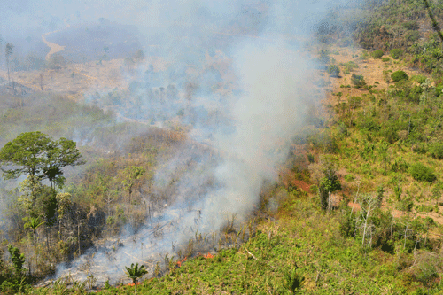 Alta incidência de focos de calor é registrada, mas ações de combate à estiagem só devem começar no início do próximo ano (Foto: Arquivo/Folha)