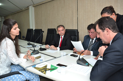 Deputados da Comissão Especial Externa sabatinam Mariana Ferreira Poltronieri (Foto: Hisraufre Emiliano)