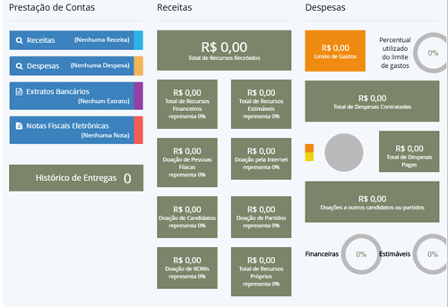 Página cheia de zeros é apresentada por vários candidatos em sistema da Justiça Eleitoral (Foto: Reprodução)