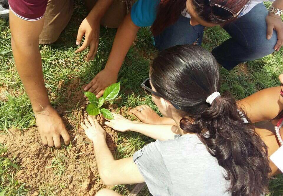 conteudo de folhabv.com.br